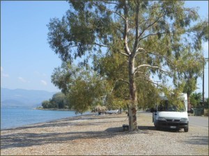 2013 14 Kavos Lihadas