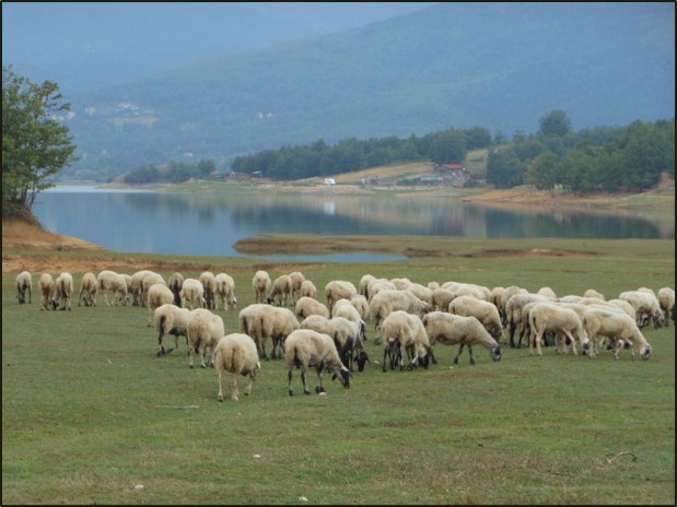2013 Limni Plastirà